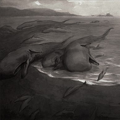 grafit212 Mikhail Tarasov Misha Tarasov sea whales ink drawing